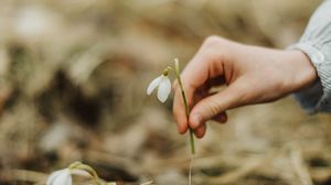 Preview wallpaper snowdrop, spring, hand, flower