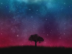 Preview wallpaper starry sky, night, tree