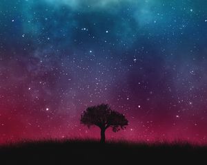 Preview wallpaper starry sky, night, tree