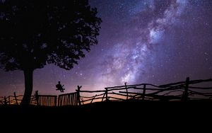 Preview wallpaper starry sky, silhouette, swing, tree, night