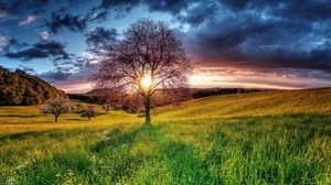 Preview wallpaper sunset, field, sky, tree, landscape