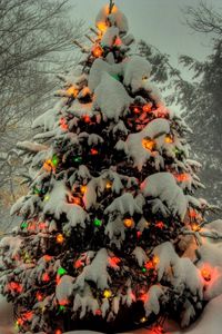 Preview wallpaper tree, garland, new year, christmas, trees, snow, winter, holiday