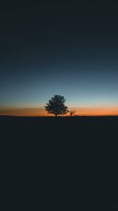 Preview wallpaper tree, horizon, minimalism, sunset