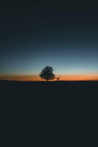 Preview wallpaper tree, horizon, minimalism, sunset