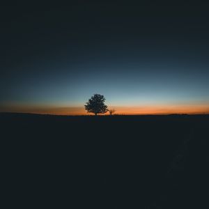 Preview wallpaper tree, horizon, minimalism, sunset