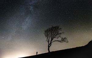 Preview wallpaper tree, people, silhouettes, slope, starry sky, night