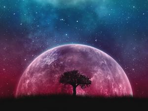 Preview wallpaper tree, planet, stars, galaxy, art