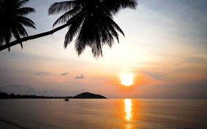 Preview wallpaper tropics, sunset, reflection, sea, palm trees, nature