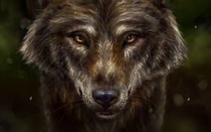 Preview wallpaper wolf, animal, predator, art