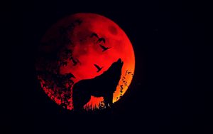 Preview wallpaper wolf, howl, silhouette, full moon, fire moon