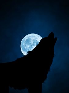 Preview wallpaper wolf, silhouette, moon, night