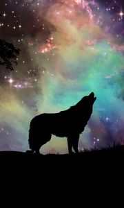 Preview wallpaper wolf, starry sky, silhouette, art