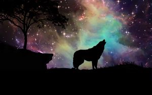 Preview wallpaper wolf, starry sky, silhouette, art