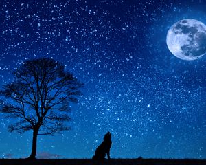 Preview wallpaper wolf, starry sky, tree, moon