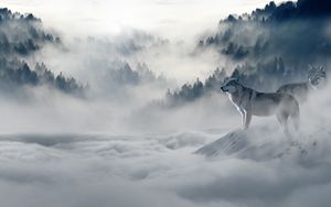 Preview wallpaper wolf, wolves, predators, fog, snow, mountains